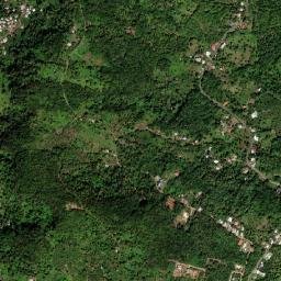 En Bamboo High Resolution Satellite Map