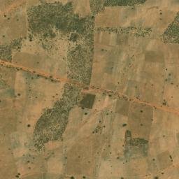 Nioro du Rip map(satellite map)