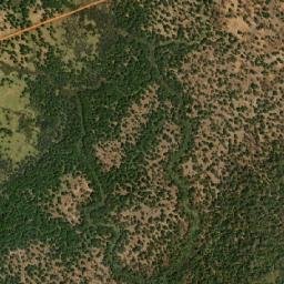 Niani map(satellite map)
