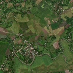 Tariric map(satellite map)