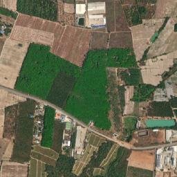 Amphoe Plaeng Yao map(satellite map)