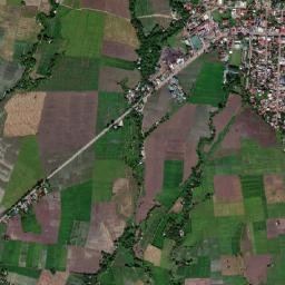 Ocampo map(satellite map)