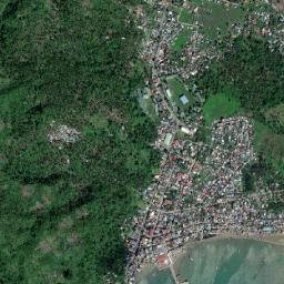 Pasacao map(satellite map)
