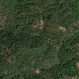 Chikkamagaluru map(satellite map)