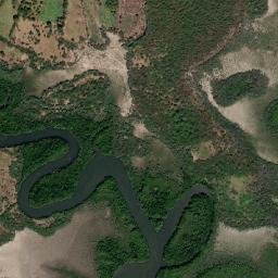 Alianza map(satellite map)