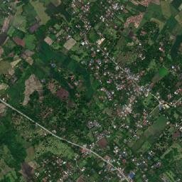 Palsong map(satellite map)