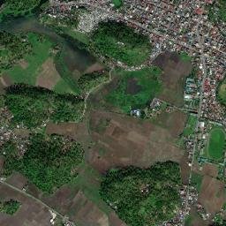 Buhi map(satellite map)