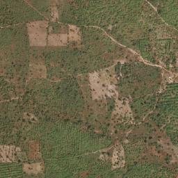 Upper Niumi District map(satellite map)