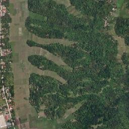 Masiga map(satellite map)
