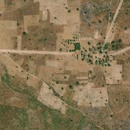 Nioro map(satellite map)