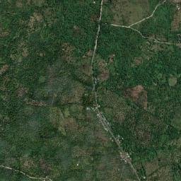 Camp Flora map(satellite map)
