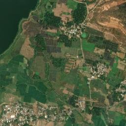 Pallipattu map(satellite map)