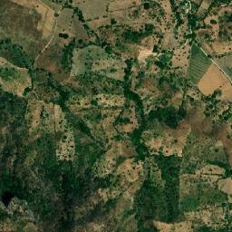 El Puente map(satellite map)