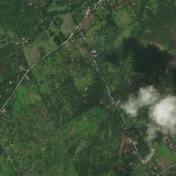 Aurora map(satellite map)