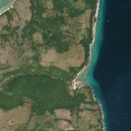 Busing map(satellite map)