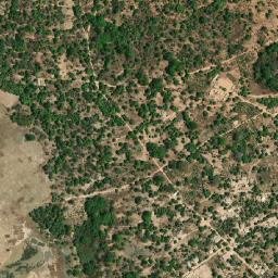 Tionk Essil map(satellite map)