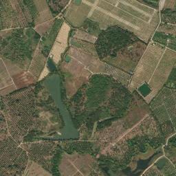 Amphoe Makham map(satellite map)