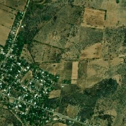 Larreynaga map(satellite map)