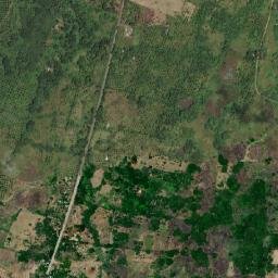 Malinta map(satellite map)