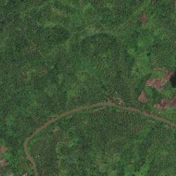 Silvino Lobos map(satellite map)