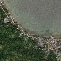 Dimasalang map(satellite map)