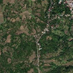 Buenavista map(satellite map)
