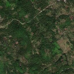 Peña map(satellite map)