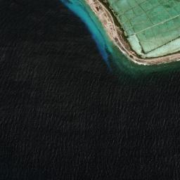 Satellite view of Bonaire Red Slave