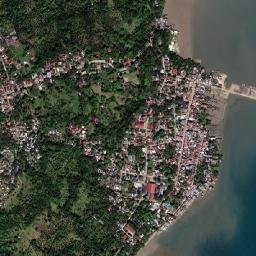 Cataingan map(satellite map)