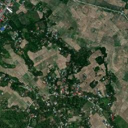 Linabuan Sur map(satellite map)