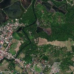 Altavas map(satellite map)