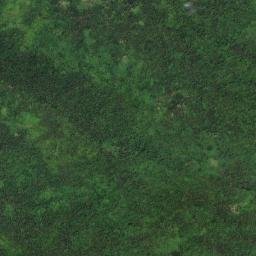 Talalora map(satellite map)