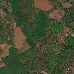 Huyện Đồng Phú map(satellite map)