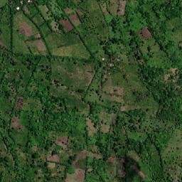 Municipio de Altagracia map(satellite map)
