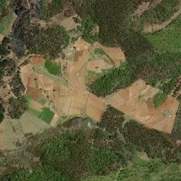 Nilgiris map(satellite map)