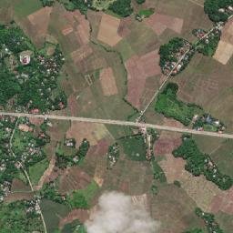 Cogon map(satellite map)