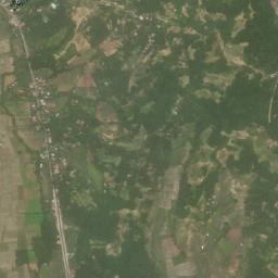 San Isidro map(satellite map)