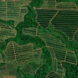 Los Chiles map(satellite map)