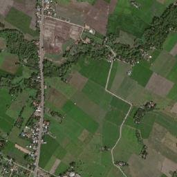 Pasil map(satellite map)