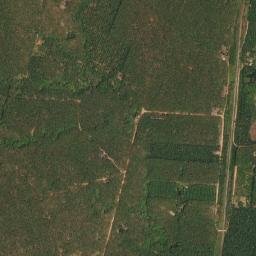 Amphoe Pathio map(satellite map)