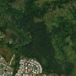Paradise map(satellite map)