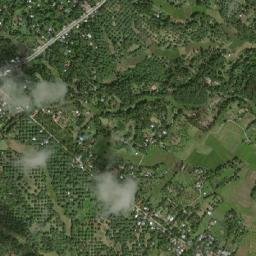 Piña map(satellite map)