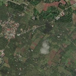 Consuelo map(satellite map)