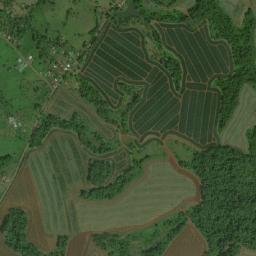 San Carlos map(satellite map)