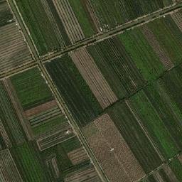 Huyện Tân Phước map(satellite map)