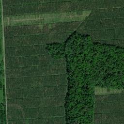 Pococí map(satellite map)