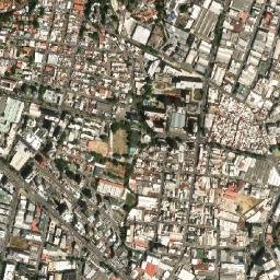 Los Dos Caminos map(satellite map)