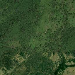 Cañas map(satellite map)