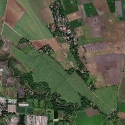 Alijis map(satellite map)