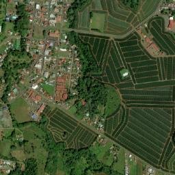 Pital map(satellite map)